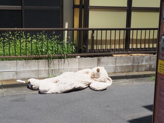 着ぐるみ　珍百景