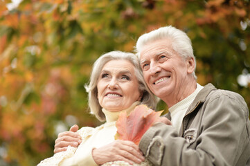 Beautiful senior couple with leaves in the park