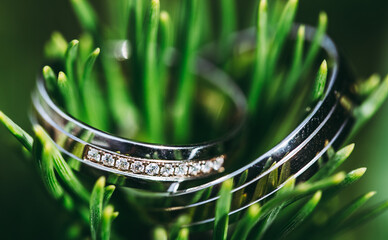 Close up of wedding rings from white gold, wedding concept