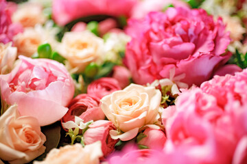 background colored flowers with blur