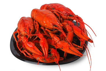 Boiled crayfish