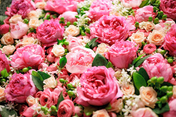 background colored flowers with blur