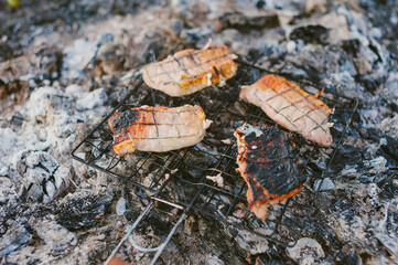 Meat on a wire rack over a fire. Picnic in nature.