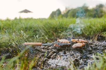 Meat on a wire rack over a fire. Picnic in nature.