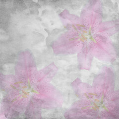 textured old paper background with bouquet