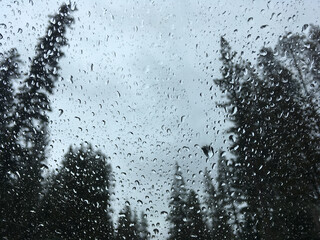 Moody and dark view of trees outside a window covered with raindrops