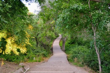 naturaleza