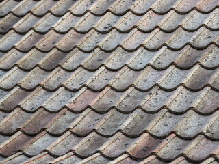 Perspective Background of Worn Cement Roof Tiles
