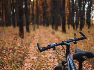 Naklejka na ściany i meble Close-up of a Bicycle on the background of an autumn forest. Cycling in the warm autumn copy space