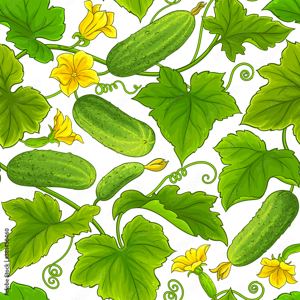 Wall mural cucumber plant pattern