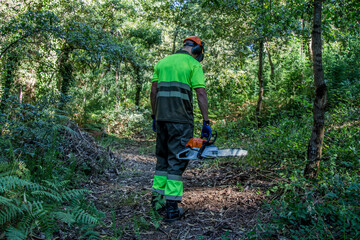 galicia, spain july 10, 2020: forest man working with chainsaw in forest