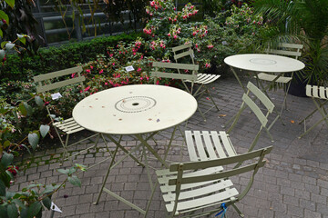 botanischer garten im schlosspark in münster, westfalen