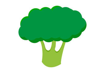 Brócoli verde en un fondo blanco.