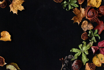 autumn leaves and chestnuts frame on black background
