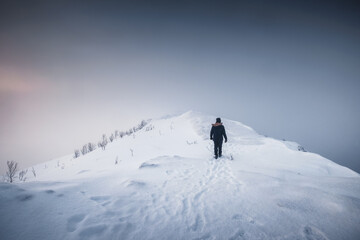 Mountaineer man walking on snowy mountain ridge with blizzard in gloomy weather at Senja island