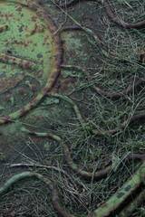 An old rusty hatch that was once painted green lies on the ground in green grass and the grass lies on it.