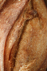 rustic bread crispy crust close-up