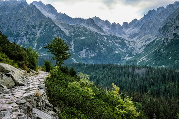 Fototapeta na wymiar Footpath in Mengusovska valley, High Tatras mountains, Slovakia