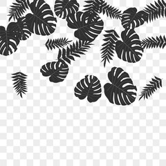 Tropical pattern.