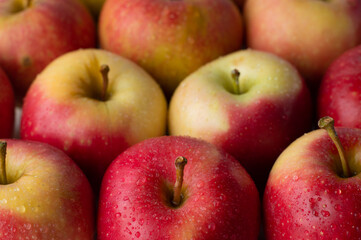 Close-up of yellow-red apples lie in rows close.