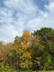 Fototapeta premium Minnesota Scenic Autumn Landscape