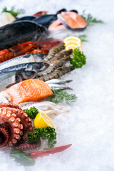 Fresh seafood on ice background. - 381468094