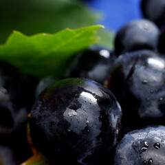 Black grape soft closeup with blurs
