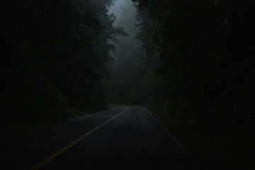 Niebla