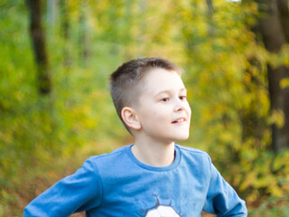 beautiful boy in a blue sweater in the Park. walking is the health of children. happiness.