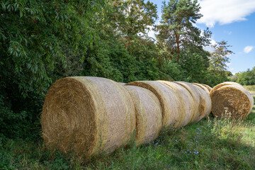 Obraz premium Bales of Hay in The Field with Forest and Cloudy Blue Sky