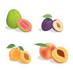 Guava, plum, apricot, and peach vector cartoon illustration isolated on white background. Sweet delicious tropical fruits and slices full of vitamins. Fresh juicy exotic fruits for a healthy diet.