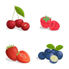 Cherry, raspberry, strawberry, and blueberry vector cartoon illustration isolated on white background. Fresh delicious berries. Healthy dieting, bright berries full of vitamins.