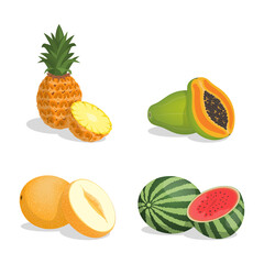 Pineapple, papaya, melon, and watermelon vector cartoon illustration isolated on white background. Ripe juicy delicious tropical fruits and slices full of vitamins. Fresh exotic fruits.