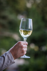 Fototapeta premium Glass of white wine on vintage wooden table