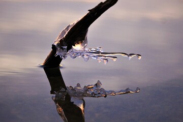 Ice Reflection