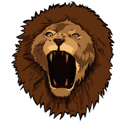 lion head vector