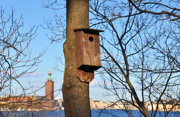 A bird house on a tree with Stockholm city hall in the background