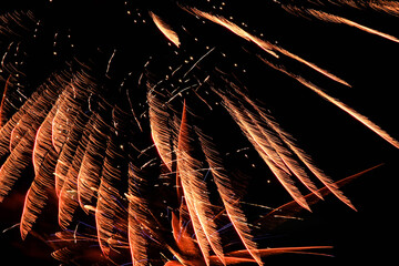 fireworks in the night