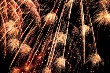 fireworks in the night sky