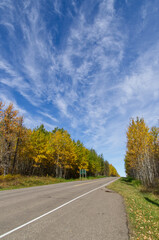 Fototapeta na wymiar Autumn Trees at Elk Island National Park