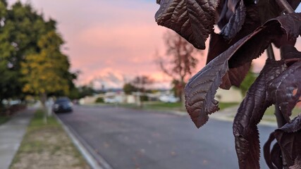 Fall sunset