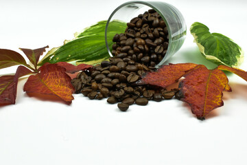 Czerwone i zielone liście z niezmieloną kawą na jasnym tle. - obrazy, fototapety, plakaty