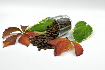 Czerwone i zielone liście z niezmieloną kawą na jasnym tle.