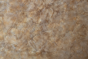 Interior background, texture, brown Italian Venetian plaster. Interior decor concept. Horizontal format. Place for your text. Copy space