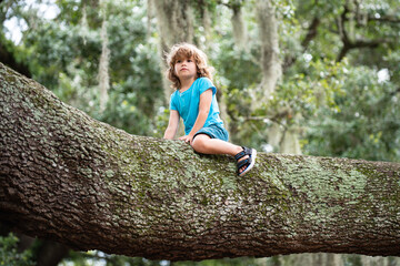 Little Child boy trying to climb a tree.