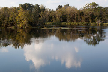 Fototapeta na wymiar Landscape reflected in water