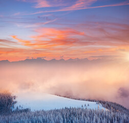 Splendid winter landscape in the morning. Frosty day, exotic wintry scene.