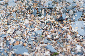Barricane Beach coastline, woolacombe, Devon