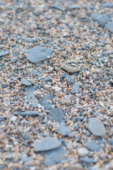 Barricane Beach coastline, woolacombe, Devon