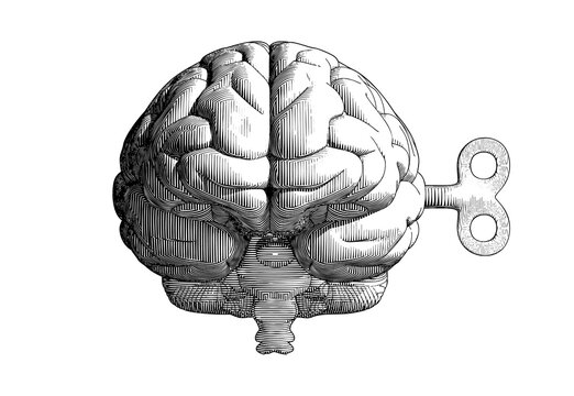 Vintage drawing brain and wind up key on white BG